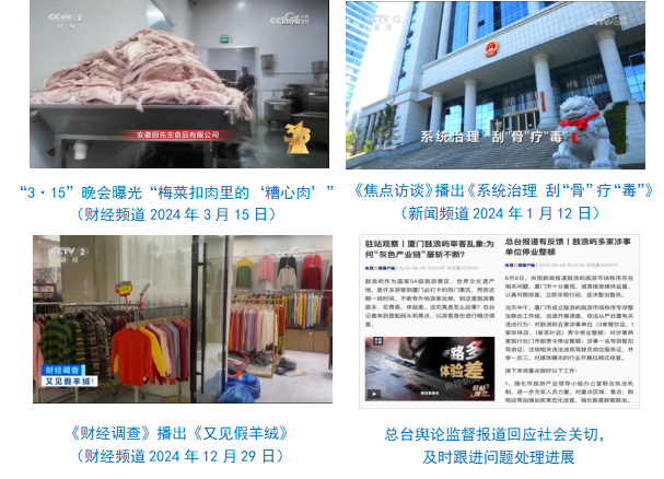 台社会责任报告（2024年度）冰球突破正规网站中央广播电视总(图17)