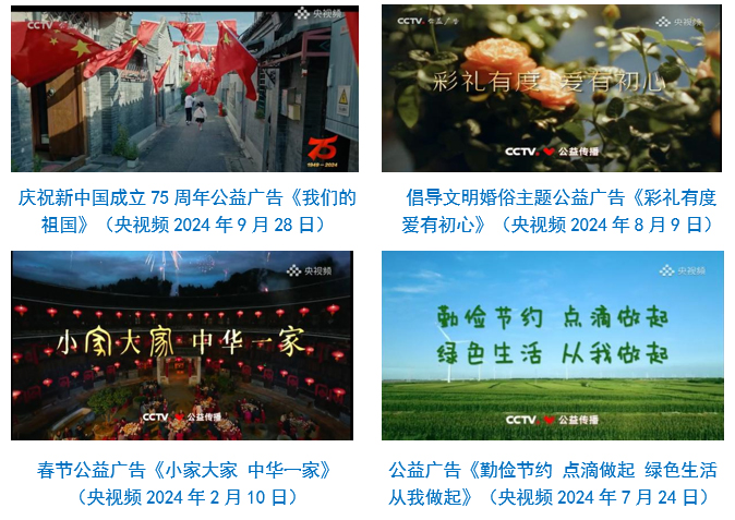 台社会责任报告（2024年度）冰球突破正规网站中央广播电视总(图33)